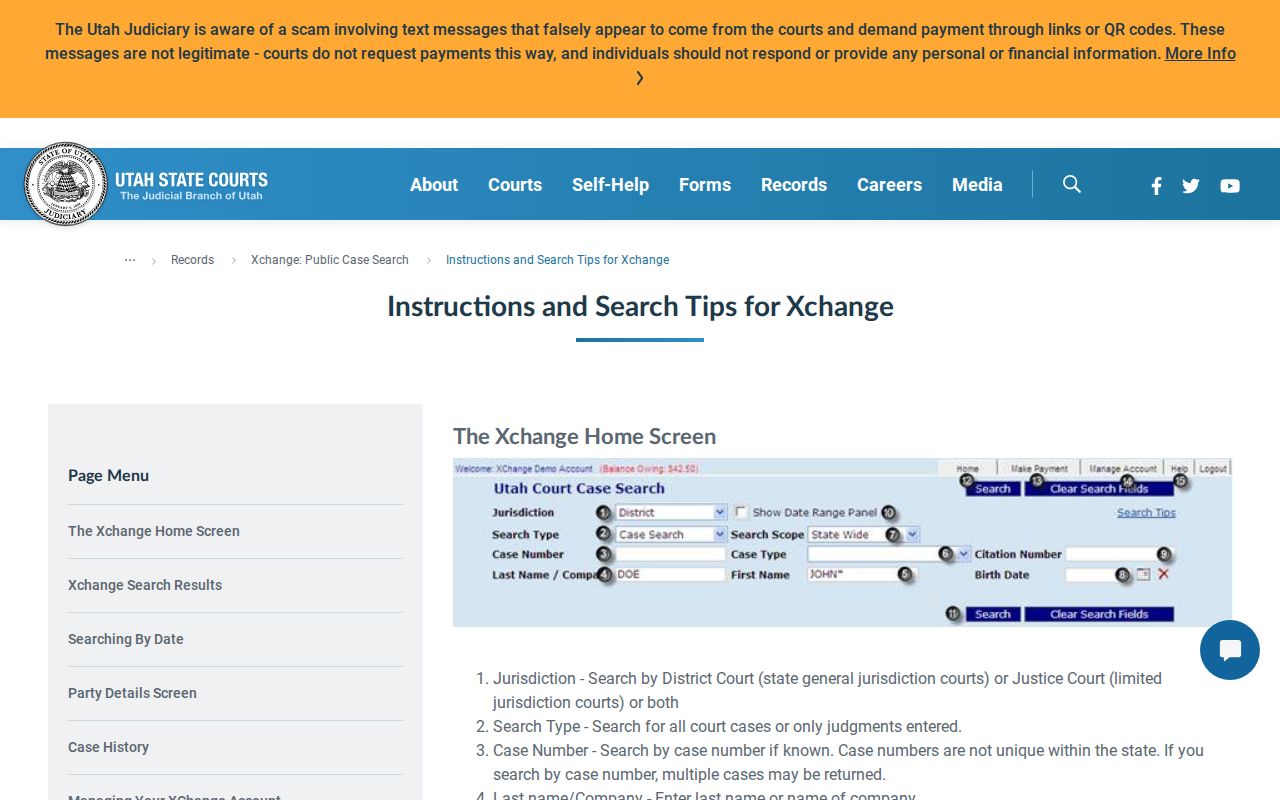 Xchange public search fields relevant to San Juan County court cases